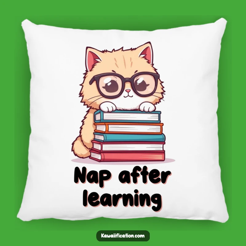 Funny Cat Glasses Pillow - Cozy Book Nook Humor, Great Funny Gift